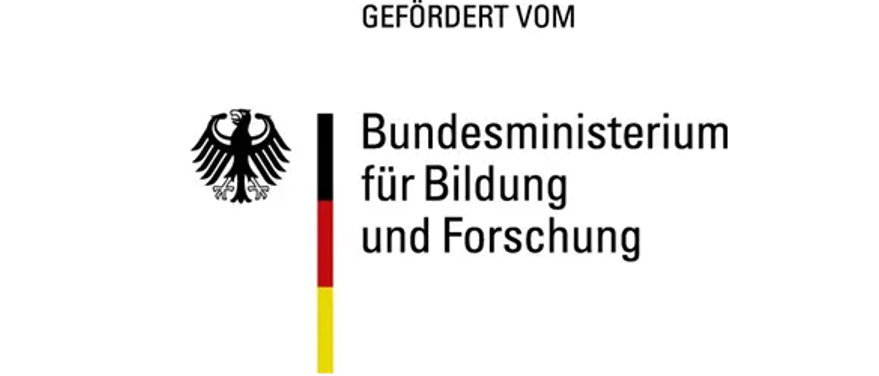 BIS-Grid.png